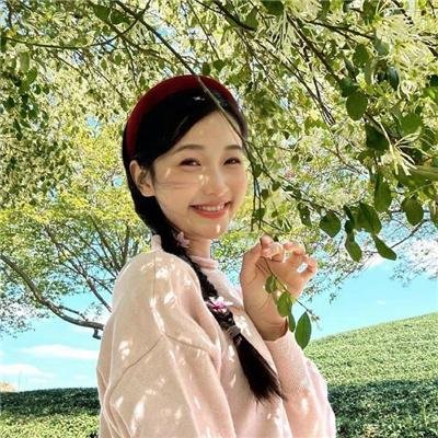 飞燕金枪