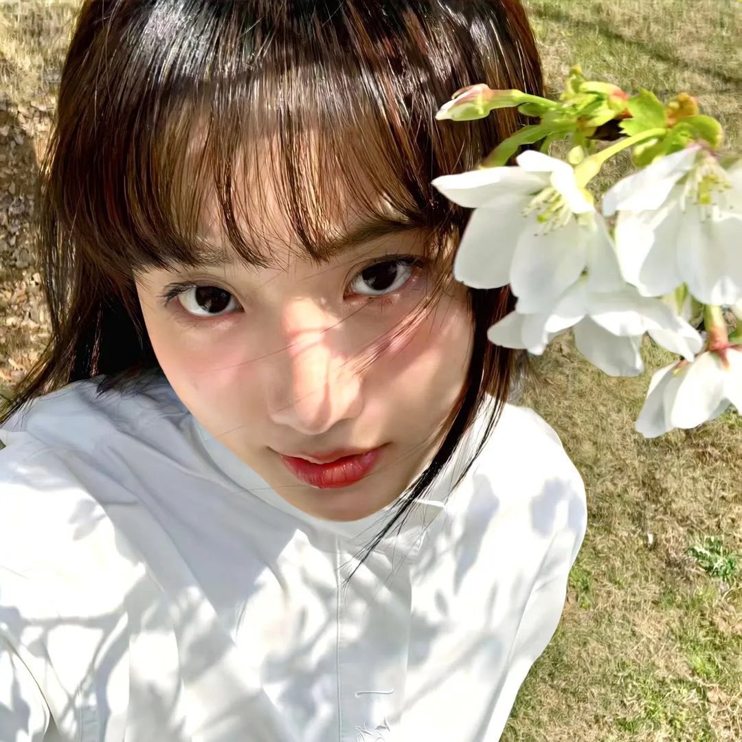 主妇侦探社