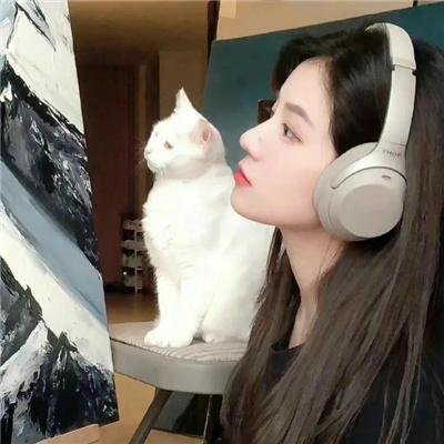 风流妙贼